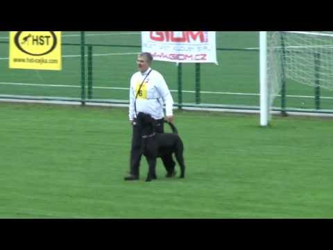 BODO v. Hexenwald + Dennis Bernsee ISPU WM 2012 - Abt.B