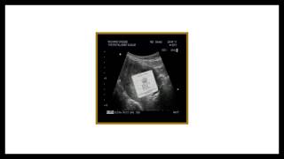 Richard Cheese &quot;Smack My Bitch Up&quot; (from 2013 &quot;The Royal Baby Album&quot;)