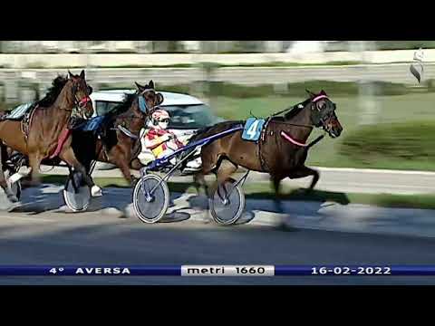 Aversa trotto 16 Febbraio 2022 - 4° Corsa