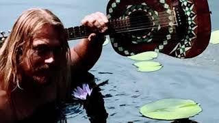 Jewel Lotus Flower 432hz