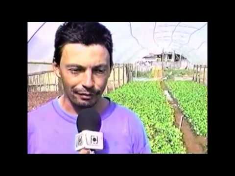 Horta comunitária jardim Patrícia, Técnico de Tv Paulinho Simeão, Escola Estadual Guerino Casa Santa