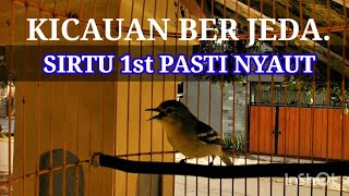 Download lagu kicau sirtu dengan jeda SIRTU BAHAN PASTI NYAUT dan menjadikan sirtu gacor mp3 Download lagu kicau sirtu dengan jeda SIRTU BAHAN PASTI NYAUT dan menjadikan sirtu gacor mp3