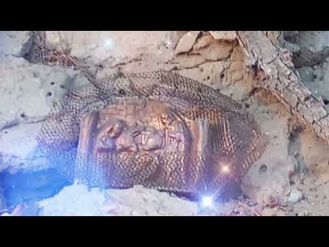 Natale sul bricco a Piobesi d'Alba