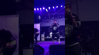 “Impact” Taproot