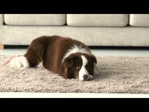 Fujitsu - Customer Success Story