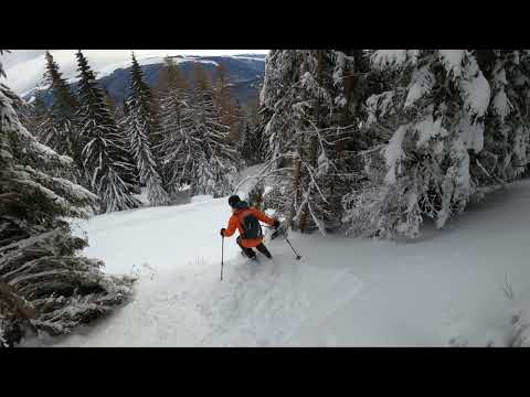 Tarle, Papagal si Zade - Sinaia off piste ski. Gol, in timpul săptămânii