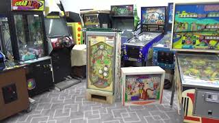 Repairing A Bally SAFARI Pinball Machine - A Goofy Ted Zale Design!