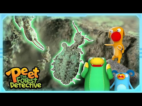 Creepy Crawly Mystery Revealed! | Full Episode | Cartoons for Kids | Peet The Forest Detective