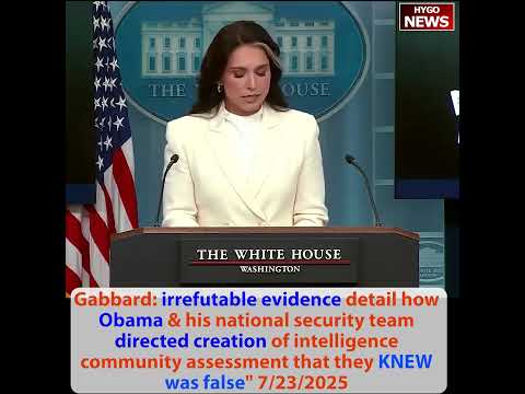 Gabbard: Hillary Clinton psycho-emotional, anger, aggression, daily tranquilizers, Obama irrefutable