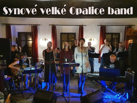 Synové velké Opalice band - Kočka ve Véčku