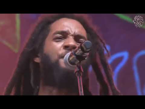 THE WAILERS Live Concert 2023