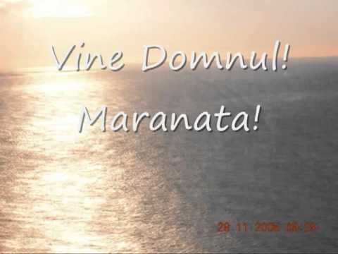 Ovidiu Liteanu Vine Domnul   YouTube