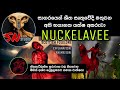 පුරාවෘත්තයක් උන Nuckelavee ගැන ඔයාලා මීට කලි