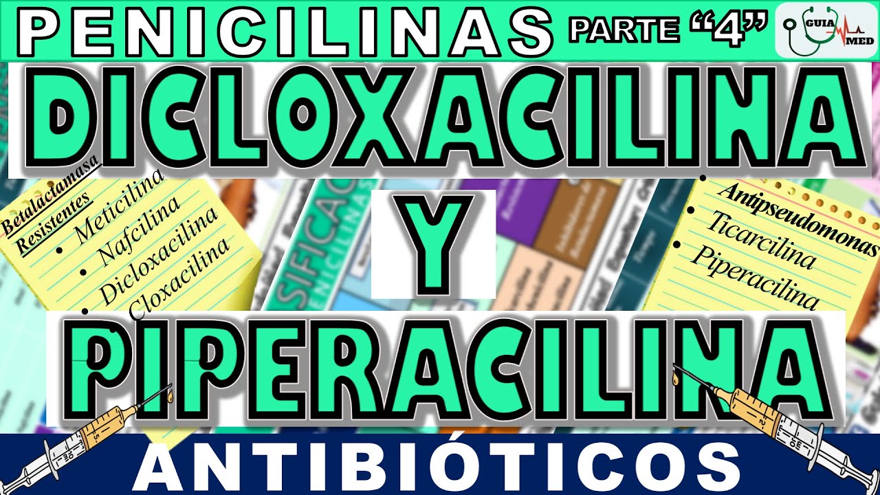 DICLOXACILINA 500 MG PARA QUE SIRVE | GuiaMed