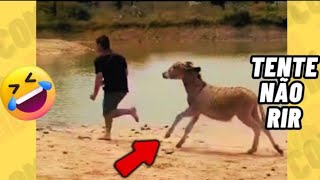 TENTE NÃO RIR IMPOSSÍVEL 🤣 - OS MELHORES memes e VÍDEOS ENGRAÇADOS 2025 #memes #comedia #424 