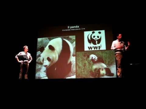 Ornano e Tomasinelli - Vita sessuale del panda