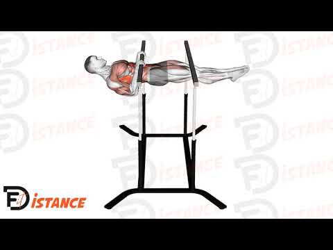 Exercice Front lever actif