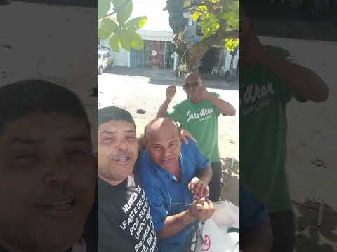######hashtag Salvador Bahia Brasil vídeo viral