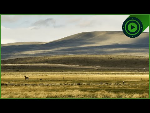 The Breathtaking Region And Culture Of Patagonia