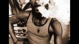 Lee Perry & Mad Professor - Open Door