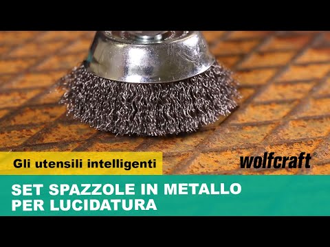 2133000_Steel-Wire-Brush-Set_PRO_MCP_it_2019.mp4