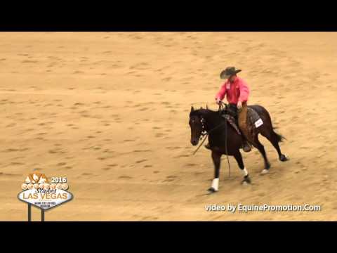 SJR Metallica Rein Work