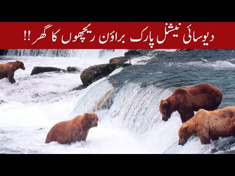 Deosai National Park - Home of Himalayan brown bears | 28 November 2019 | 92NewsHD