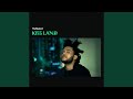 Kiss Land