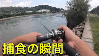 【高級リール購入】梅雨入りの琵琶湖がエグミザワ。