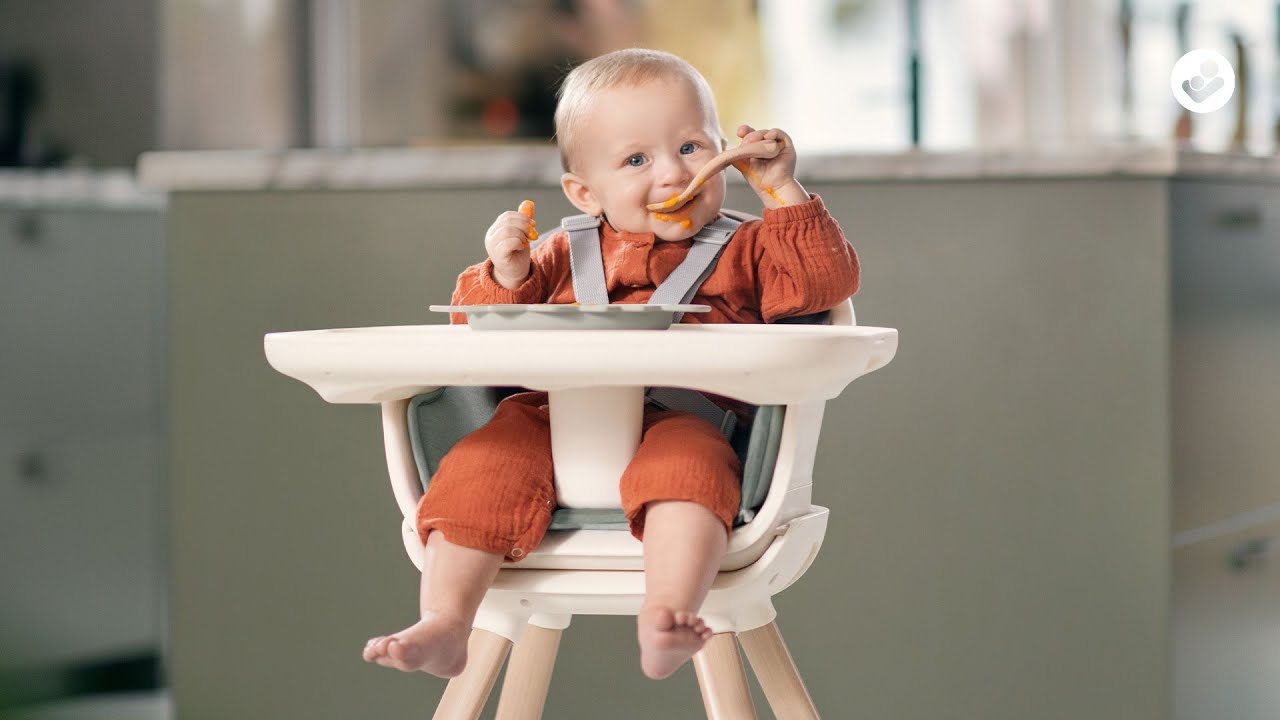 Chaise haute moa de Maxi-cosi au meilleur prix sur allobébé