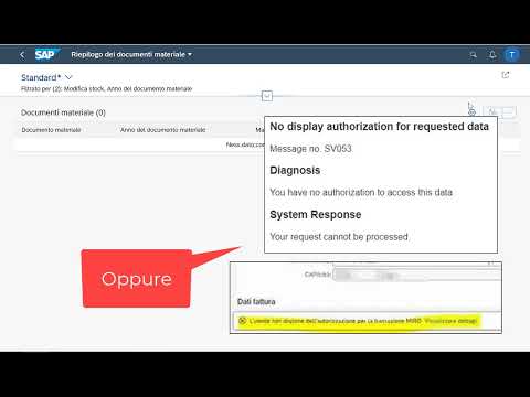 Errore Autorizzativo SAP FIORI (APP Supporto)