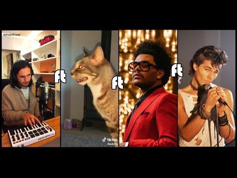 The Kiffness X Sneeze Cat X The Weeknd X Morten Harket (A Beatbox Cat Remix)