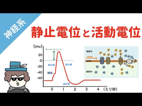 電気感受性について詳しく解説
