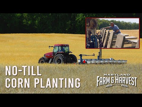How No-Till Corn Planting Works  |  MD F&H