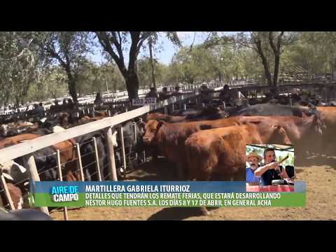 MARTILLERA GABRIELA ITURRIOZ- REMATE FERIAS DE NÉSTOR HUGO FUENTES.  8 Y 18 DE ABRIL . GENERAL ACHA.