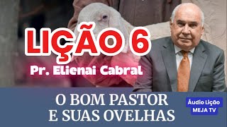 Lição 6: O Bom pastor e suas ovelhas | Comentarista: Pr. Elienai Cabral
