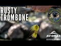 How to tie an Easy Articulated Streamer l Rusty Trombone I AvidMax Fly Tying Tuesday Tutorials