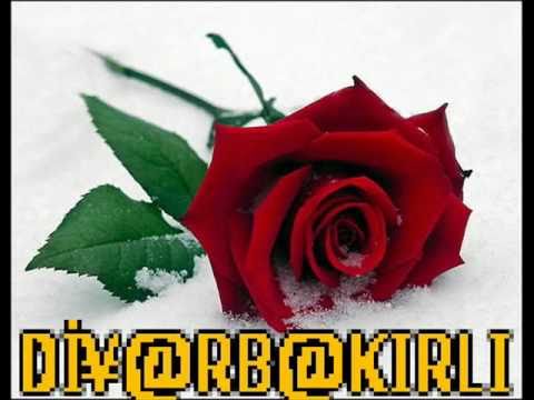 SemaAksoyek’s Video 63421569458 xt0VhaQaTK4