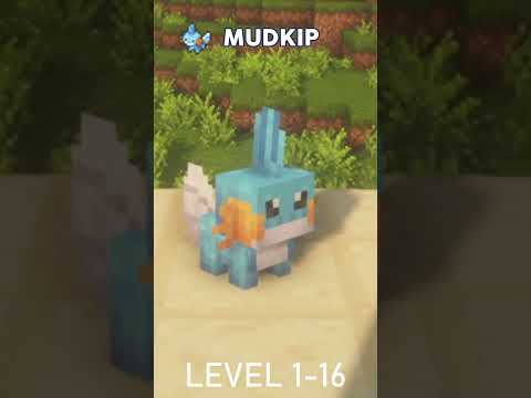 MUDKIP TO SWAMPERT in COBBLEMON!!!