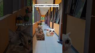 Download lagu kehilangan sahabat itu sedih😢😭 #shortvideo #cat #meme #pov #sad #funnycats #kucinglucu mp3 Download lagu kehilangan sahabat itu sedih😢😭 #shortvideo #cat #meme #pov #sad #funnycats #kucinglucu mp3