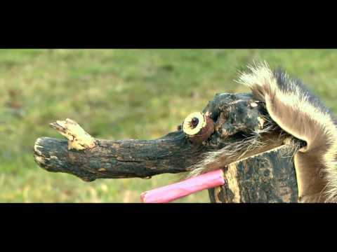 De Spiel - přírodní divadlo a dřevosochařský park