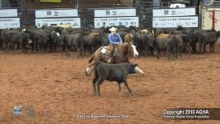 A Judge&#39;s Perspective: 2016 AQHYA Cutting World Champion