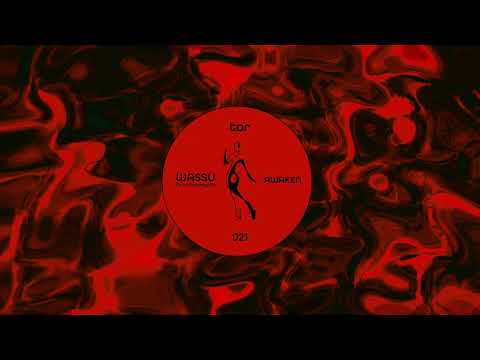 Wassu - Awaken (feat. Lumynesynth)