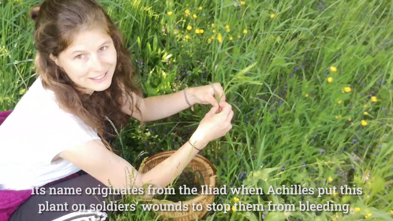 Pozdrav iz travnika - delavnica / Greetings from a meadow - workshop (with ENG captions)