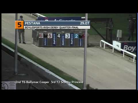 2020 BOYLESPORTS IRISH DERBY - QF 3 - T5 PESTANA