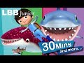 Shark Song And Lots More Original Songs From LBB Junior