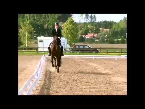 Vickan och Anna rider La:4 med 68.1% - 6/8 2015