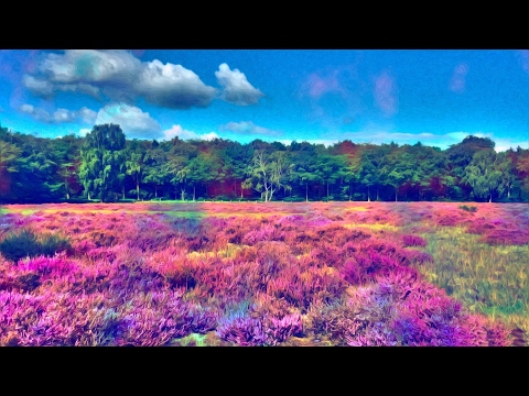 Hardtrance Classics 2,5h Mega Mix 1993 - 1997 OnLy4YnX