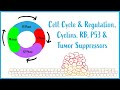 Cell Cycle Regulation Mitosis Cyclins RB P53 Tumor Suppressors USMLE Esssentials