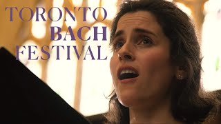 Johann Sebastian Bach / Academy Of St Martin In The Fields - Sheep May Safely Graze (Cantata No. 208) video